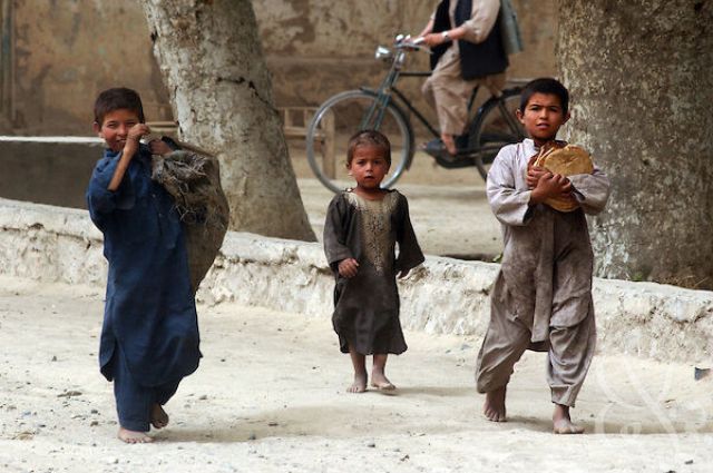 فساد، فقر و فریب؛ وقتی طالبان، قبیله‌ی خود را هم قربانی می‌کنند