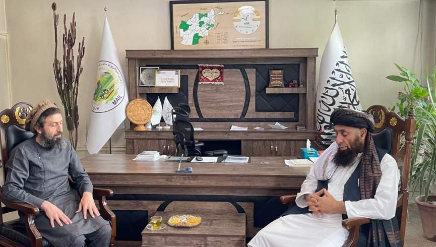 بنیاد تیکا با کشت ۵۰۰ جریب گل آفتاب‌پرست در قندهار و ساخت سردخانه در پکتیا به توسعه زراعت کمک می‌کند