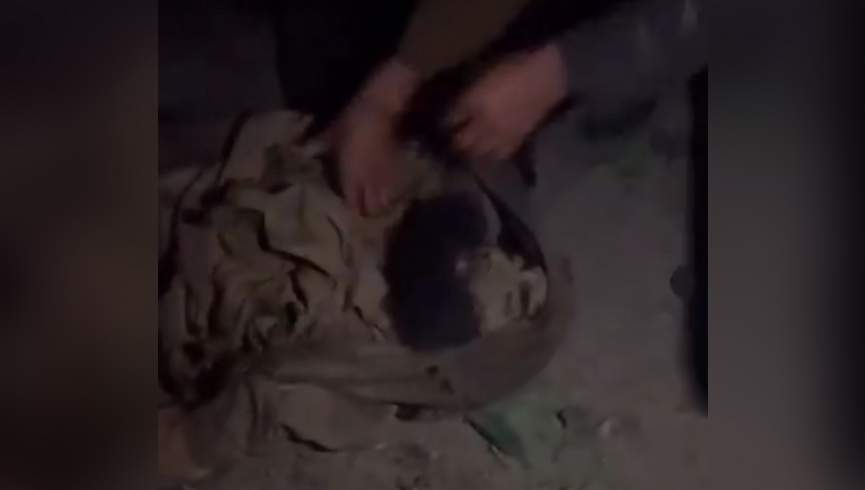 گروه طالبان مدعی کشتن مولوی زیدالله چهره مشهور سلفی در بدخشان شد