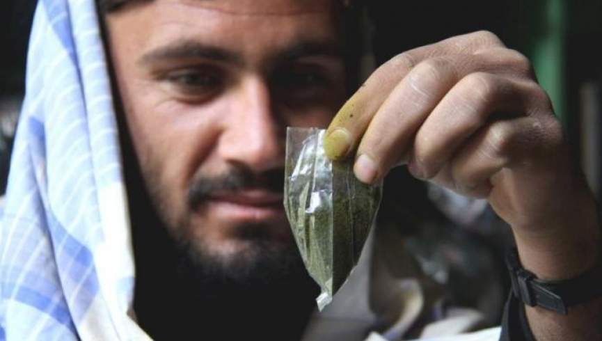 یک‌چهارم بزرگسالان افغان تنباکو مصرف می‌کنند؛ نسوار رایج‌ترین نوع آن است
