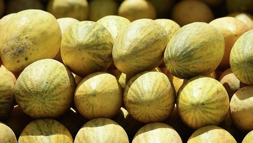 نقش باور نکردنی خربزه در تنظیم فشار خون