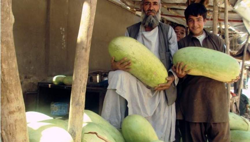 فواید علمی مصرف تربوز برای صحت