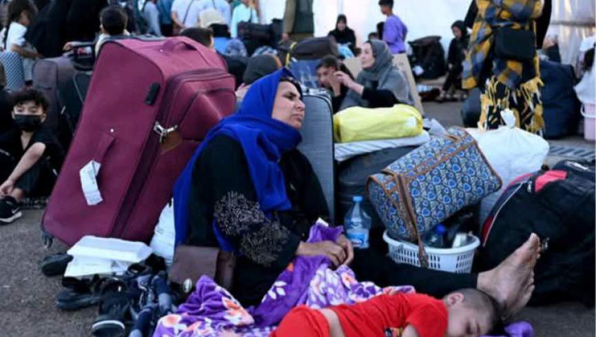 سازمان ملل: اخراج 1.1 میلیون افغان از ایران بحران انسانی را تشدید کرد