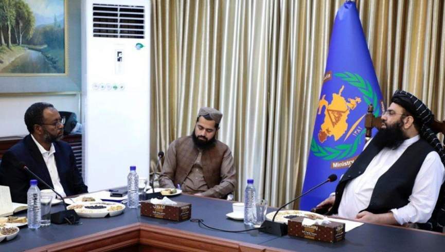 تمرکز بر حمایت از مهاجران محور دیدار طالبان با رئیس IOM