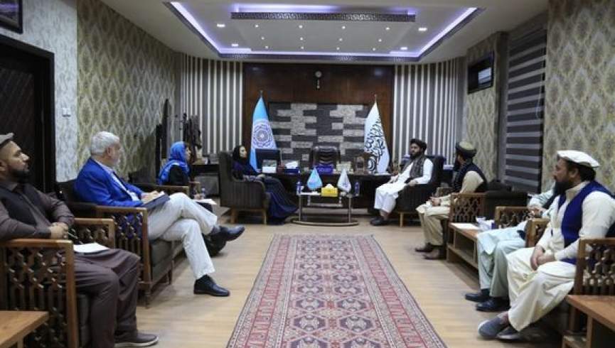 طالبان خواستار احیای عضویت افغانستان در سازمان تجارت جهانی شد