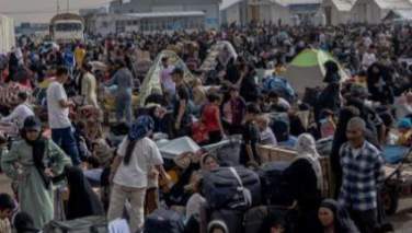 سازمان بین‌المللی مهاجرت: برای اشتغال مهاجرین با همکاری نهادهای بین‌المللی تلاش می‌کنیم