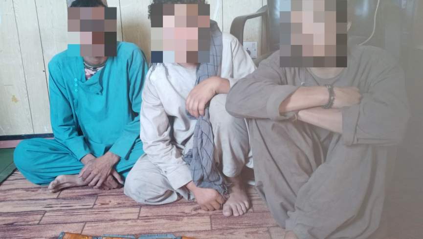 سه مظنون سرقت در هرات دستگیر شدند