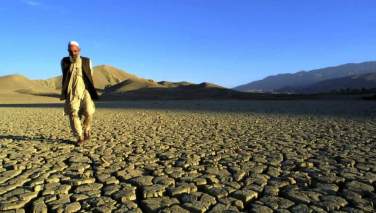محیط زیست در فراه؛ همبستگی محلی علیه قطع درختان و بحران آب