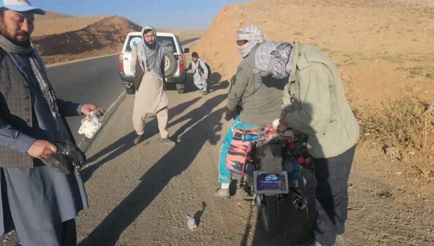 افزایش قاچاق پرندگان کمیاب در بامیان؛ ایجاد ایست بازرسی برای مقابله