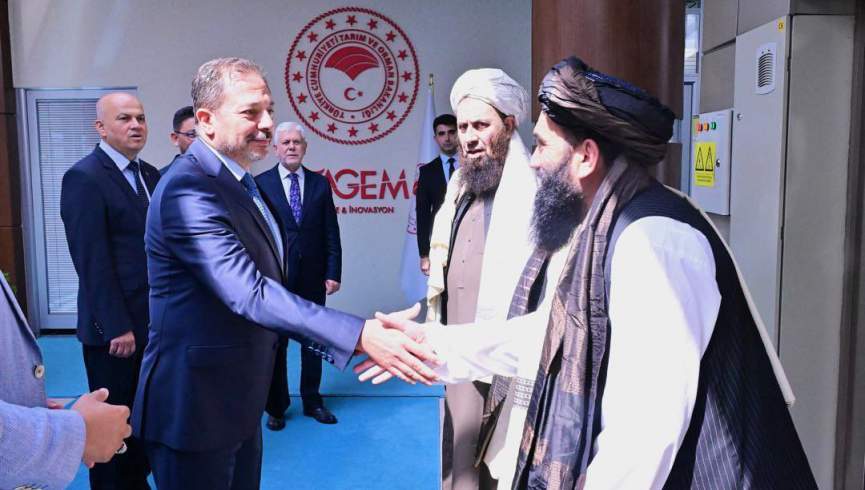 ترکیه د کرنې او ځنګلونو برخو کې له طالبانو سره همکاري کوي