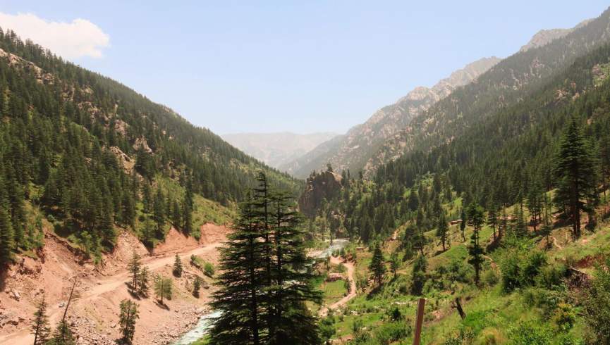 احیای بیش از یک هزار هکتار جنگلات در نورستان توسط فائو